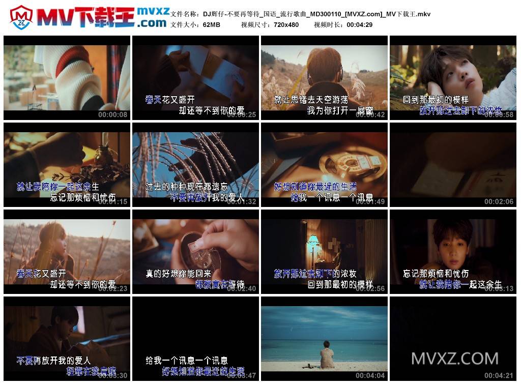 DJ辉仔-不要再等待_国语_流行歌曲_MD300110